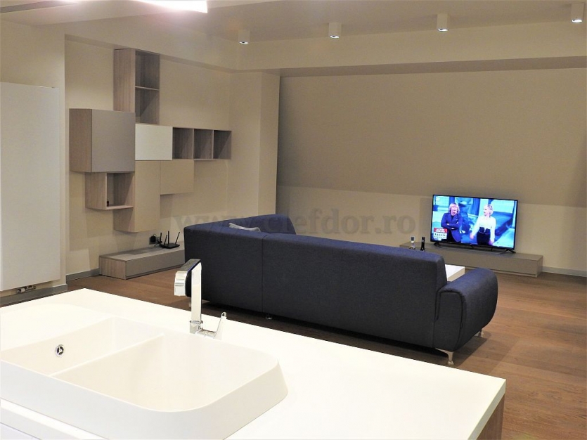 Iancu Nicolae duplex - 2 bedrooms Iancu Nicolae duplex - 2 dormitoare