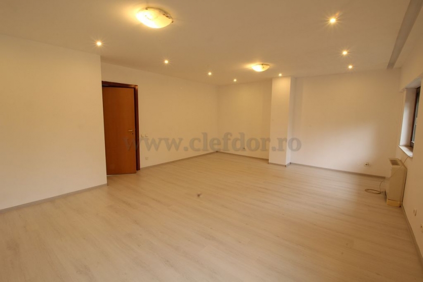 Villa with Pool and access to the lake Vilă cu Piscina si iesire la lac