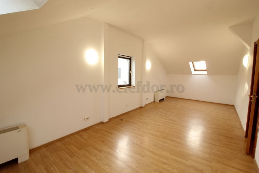 Villa with Pool and access to the lake Vilă cu Piscina si iesire la lac