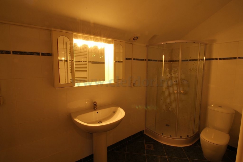 Villa with Pool and access to the lake Vilă cu Piscina si iesire la lac