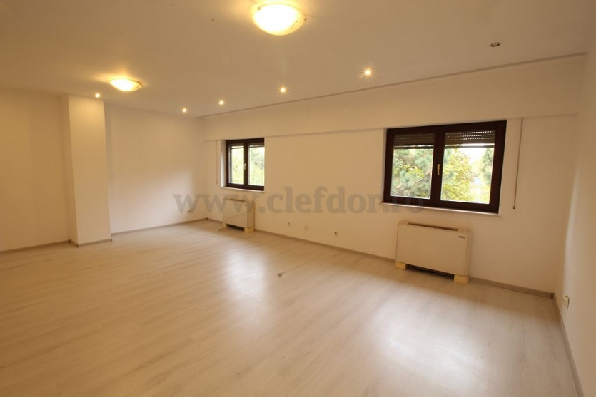 Villa with Pool and access to the lake Vilă cu Piscina si iesire la lac