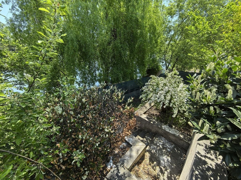 Villa with Pool and access to the lake Vilă cu Piscina si iesire la lac