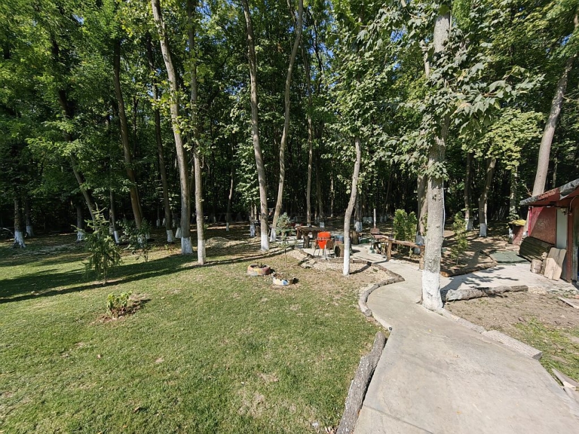Vilă cu piscina în zona Pipera Vilă cu piscina în zona Pipera
