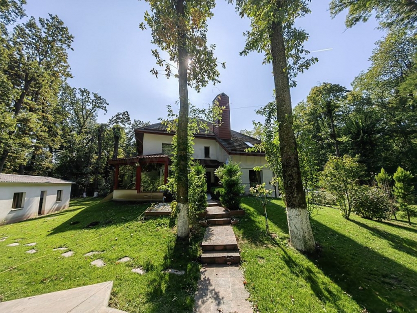 Vilă cu piscina în zona Pipera Vilă cu piscina în zona Pipera
