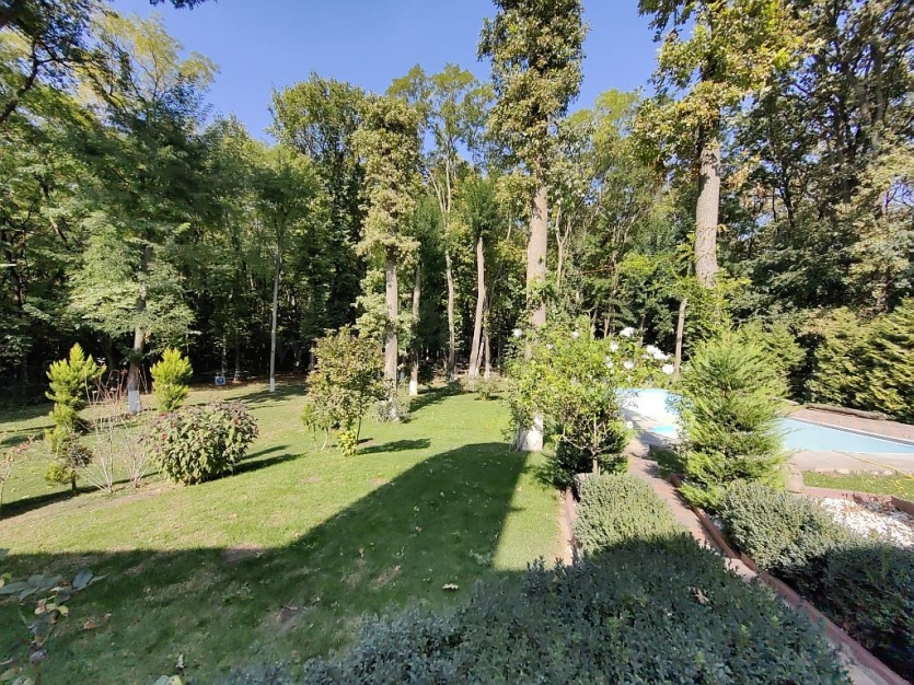 Vilă cu piscina în zona Pipera Vilă cu piscina în zona Pipera