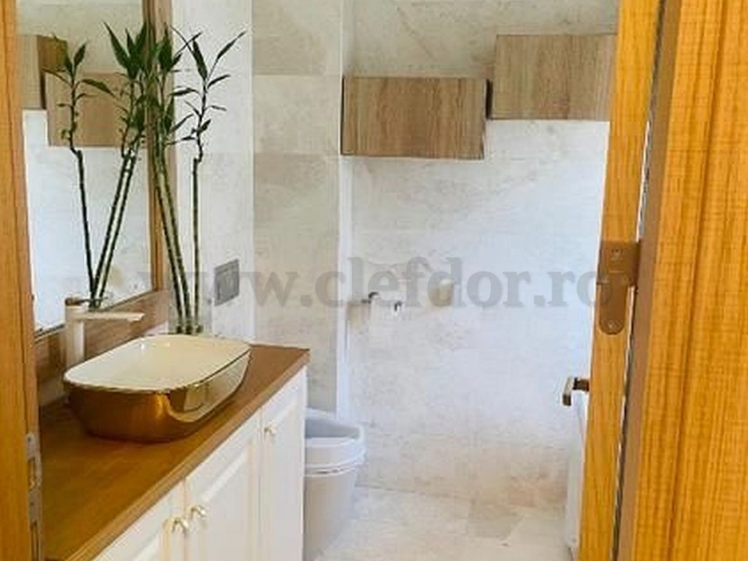 Luxury Villa with Swimming Pool Acces Vila de Lux cu acces la piscina