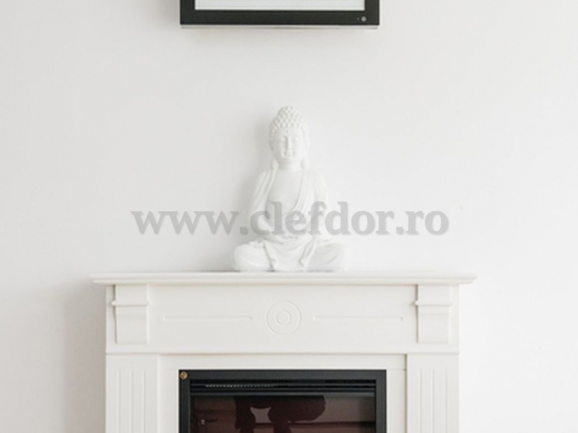 Luxury Villa in Iancu Nicolae Area Vila de Lux in zona Iancu Nicolae