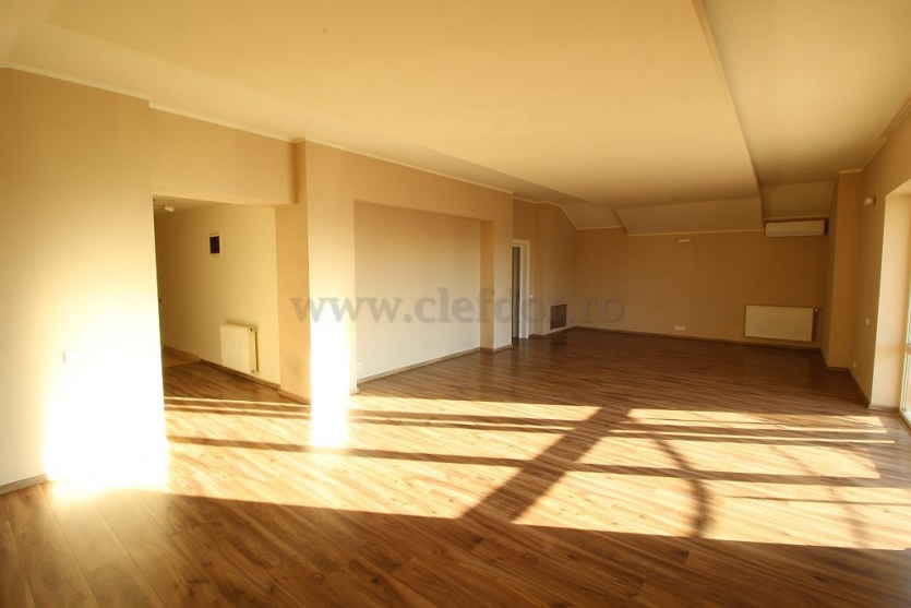 Individual Villa with Swimming Pool on Iancu Nicolae Vila cu Piscina in Zona Iancu Nicolae