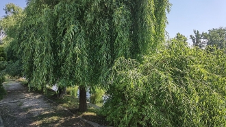 Villa for rent with Lake View, Sisesti area Vilă cu iesire la lac