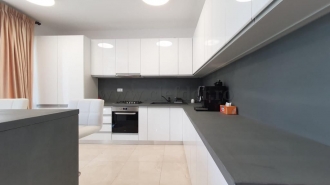 New Villa in Iancu Nicolae-British School area Vila NOUA in zona Iancu Nicolae-British School