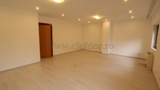 Villa with Pool and access to the lake Vilă cu Piscina si iesire la lac