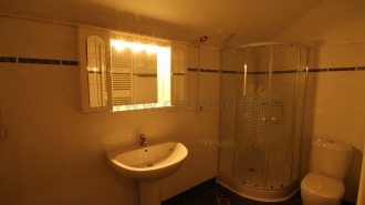 Villa with Pool and access to the lake Vilă cu Piscina si iesire la lac