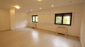 Villa with Pool and access to the lake Vilă cu Piscina si iesire la lac