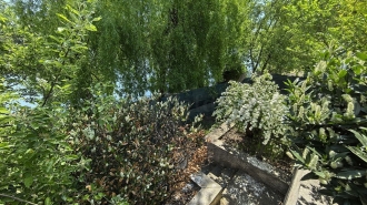 Villa with Pool and access to the lake Vilă cu Piscina si iesire la lac