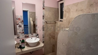 Individual Villa for Rent in Iancu Nicolae Area Vila individuala de închiriat în zona Pipera-Iancu Nicolae