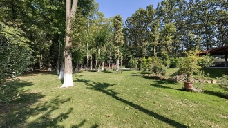 Vilă cu piscina în zona Pipera Vilă cu piscina în zona Pipera