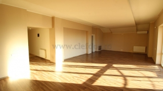 Individual Villa with Swimming Pool on Iancu Nicolae Vila cu Piscina in Zona Iancu Nicolae