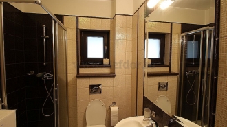 Villa for rent / sale near the French School Vila de inchiriat/vanzare in apropiere de Liceul Francez